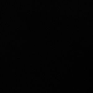 Two American Eagle Seatshirts